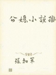 公媳小说排行