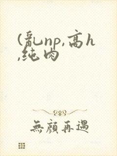 (乱np,高h,纯肉