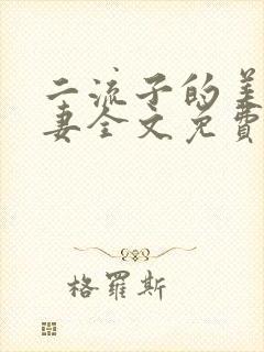 二流子的美貌娇妻全文免费阅读