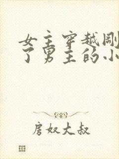 女主穿越刚好救了男主的小说