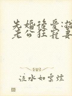 先婚后爱:总裁老公狂宠妻全集下载封面