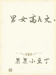 男女高h文小说