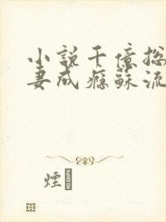 小说千亿总裁宠妻成瘾苏流云