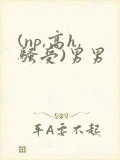 (np,高h,骚受)男男