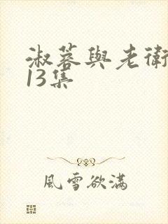 淑蓉与老卫1—13集