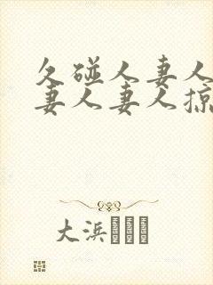 久碰人妻人妻人妻人妻人掠