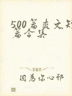 500篇爽文短篇合集封面