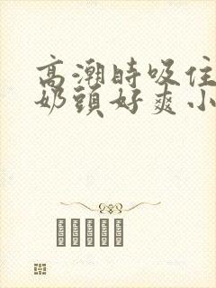 高潮时吸住我的奶头好爽小说封面