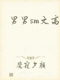 男男sm文高h