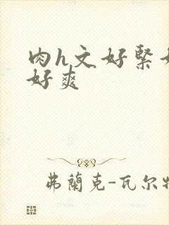 肉h文好紧好大好爽