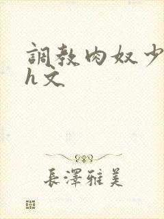 调教肉奴少司缘h文