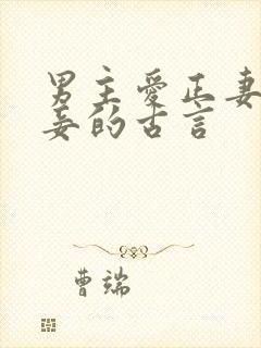 男主爱正妻却纳妾的古言封面