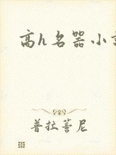 高h名器小说
