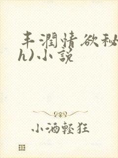 丰润情欲秘书(h)小说封面