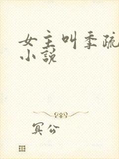 女主叫季疏云的小说