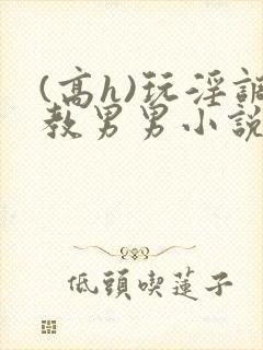 (高h)玩淫调教男男小说