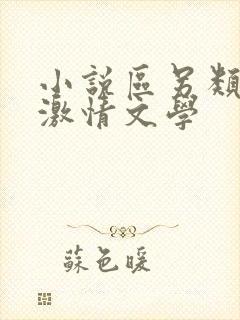 小说区另类小说激情文学封面