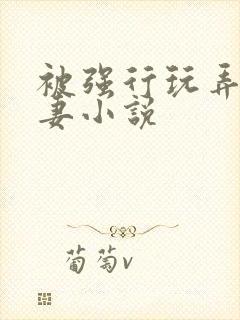 被强行玩弄的人妻小说封面