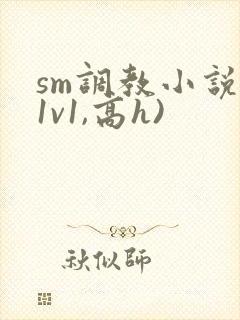 sm调教小说(1v1,高h)