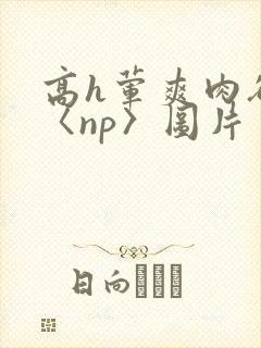 高h荤爽肉欲文〈np〉图片封面