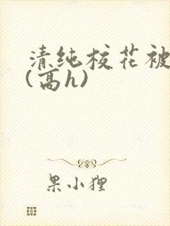 清纯校花被调教(高h)