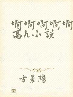 啊啊啊啊啊男男高h小说