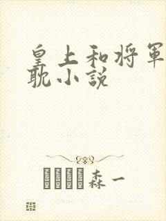 皇上和将军的原耽小说封面