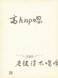 高hnp嗯