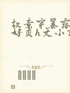 故意穿暴露被强好爽h文小说免费观看