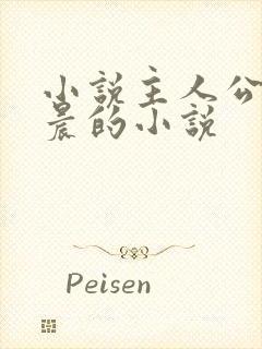 小说主人公叫林晨的小说