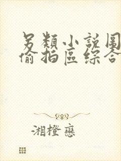 另类小说图片区偷拍区综合区封面