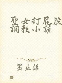 圣女打屁股sp调教小说封面