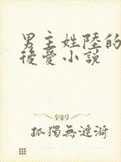 男主姓陆的先婚后爱小说