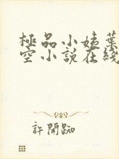 极品小姨叶凡司空小说在线阅读全文