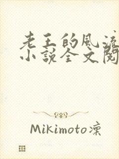 老王的风流人生小说全文阅读封面