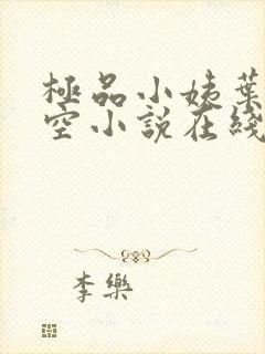 极品小姨叶凡司空小说在线阅读全文