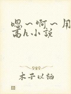 嗯～啊～用力～高h小说