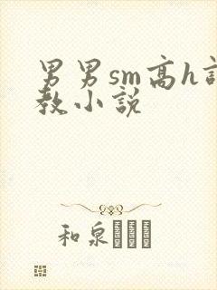 男男sm高h调教小说