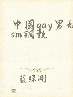 中国gay男奴sm调教