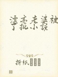 漂亮老婆被玩坏了批小说