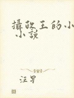 摄政王的小闲妻 小说