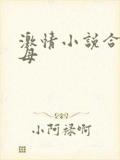 激情小说合集岳母