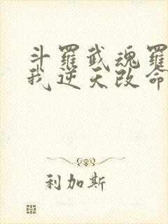 斗罗武魂罗三炮我逆天改命笔趣阁