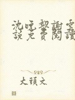 沈晚黎谢云迟小说免费阅读封面