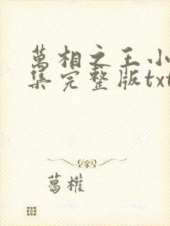 万相之王小说全集完整版txt