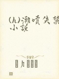 (h)潮喷失禁小说封面