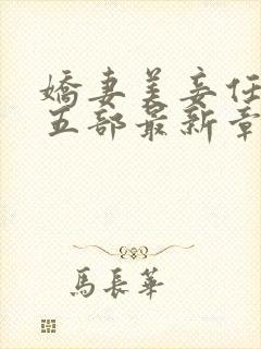 娇妻美妾任君第五部最新章节小说