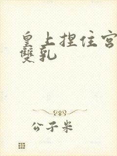 皇上捏住宫女的双乳