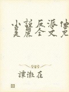 小说反派他过分美丽全文免费阅读