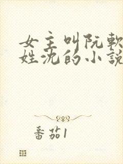 女主叫阮软男主姓沈的小说封面